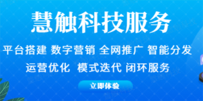 金凤区一站式网站建设推广,网站建设