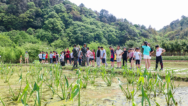 云南企业团建基地特色,团建基地