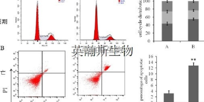 黑龙江医学细胞实验外包检测,细胞实验外包