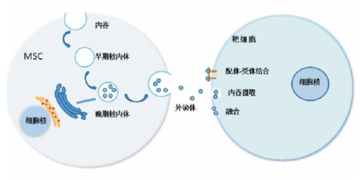 东营新科技养发效果怎么样,养发