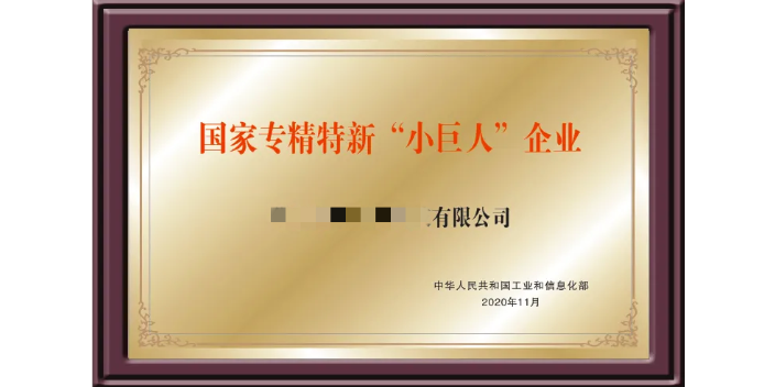 深圳广东省专精特新企业申报机构,专精特新企业