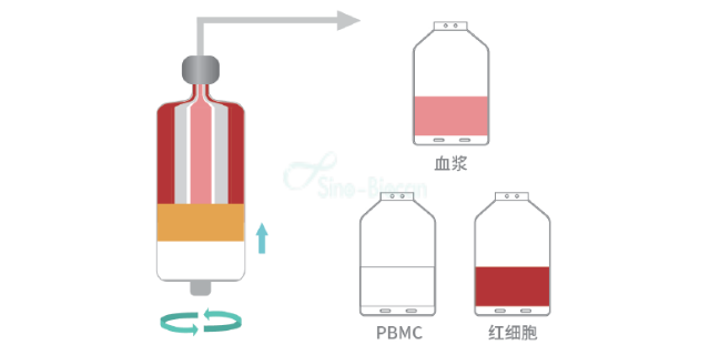 重庆全自动细胞制备系统哪家好,系统