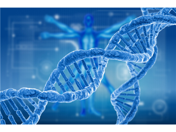 江西外泌体lncrna芯片,外泌体提取试剂盒