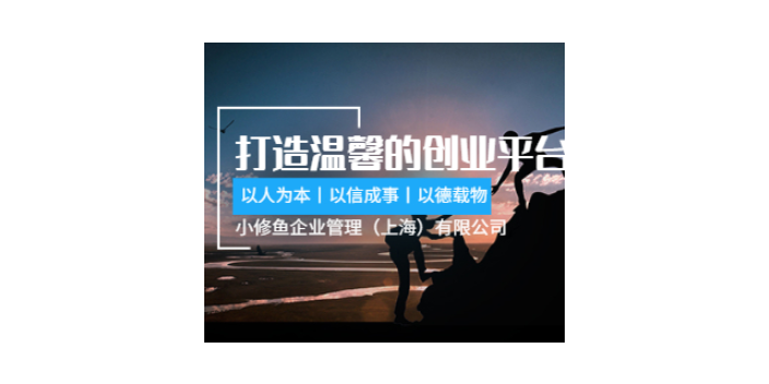 杨浦区公司注册名称怎么叫,注册公司