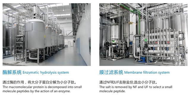 浙江牡蛎蛋白提取设备报价,蛋白